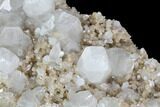 Plate of Zoned Apophyllite Crystals on Micro-Stilbite - India #91330-2